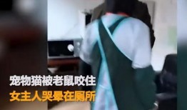 最新爆料老鼠视频大全播放,最新老鼠视频大全，触目惊心瞬间曝光！