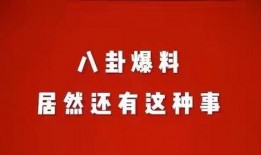 今日爆料娱乐八卦网最新,当红明星背后的惊人真相