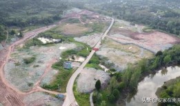 南充桃李春风最新爆料,揭秘项目最新进展与亮点