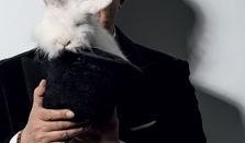 卓伟2017最新爆料,娱乐圈惊天大事件揭秘