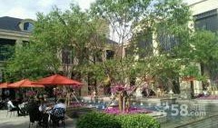 涿州房产爆料网最新消息,最新爆料揭示房价走势与热门项目