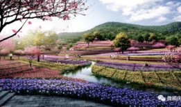 南充桃李春风最新爆料,揭秘项目最新进展与亮点